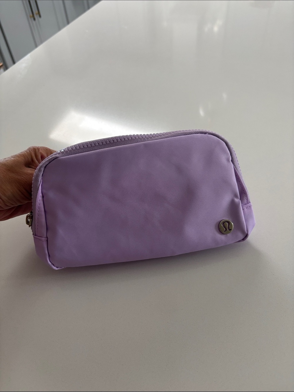 Everywhere Belt Bag NWT